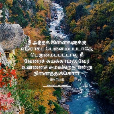Picture 05 - ரோமர் 11:18 TAMIRV - நீ அந்தக் - Bible Verse Picture
