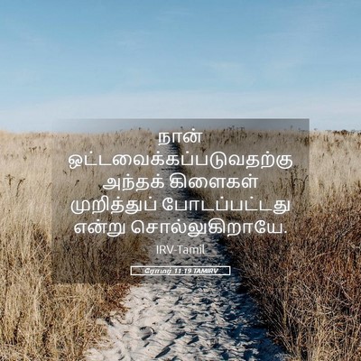 Picture 05 - ரோமர் 11:19 TAMIRV - நான் - Bible Verse Picture