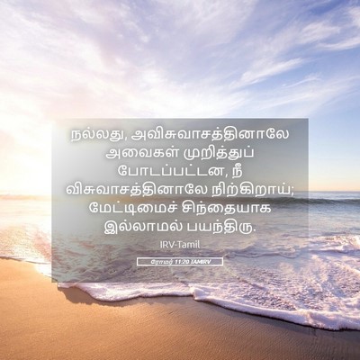 Picture 05 - ரோமர் 11:20 TAMIRV - நல்லது, - Bible Verse Picture