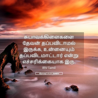 Picture 05 - ரோமர் 11:21 TAMIRV - சுபாவக்கிளைகளை - Bible Verse Picture