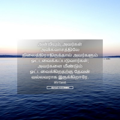 Picture 05 - ரோமர் 11:23 TAMIRV - அன்றியும், - Bible Verse Picture