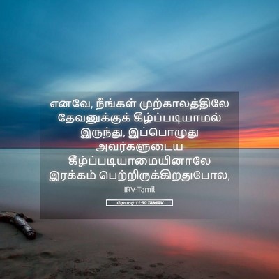 Picture 05 - ரோமர் 11:30 TAMIRV - எனவே, நீங்கள் - Bible Verse Picture