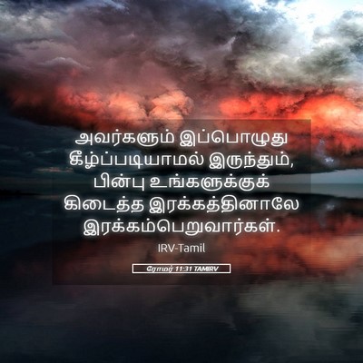 Picture 05 - ரோமர் 11:31 TAMIRV - அவர்களும் - Bible Verse Picture