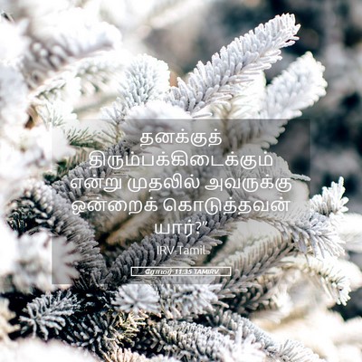 Picture 05 - ரோமர் 11:35 TAMIRV - தனக்குத் - Bible Verse Picture