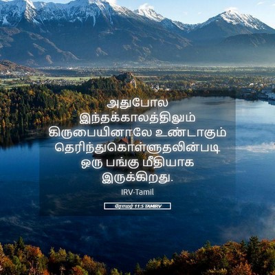 Picture 05 - ரோமர் 11:5 TAMIRV - அதுபோல - Bible Verse Picture