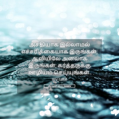 Picture 05 - ரோமர் 12:11 TAMIRV - அசதியாக இல்லாமல் - Bible Verse Picture