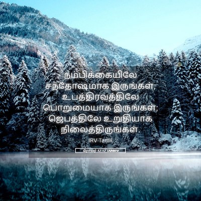 Picture 05 - ரோமர் 12:12 TAMIRV - நம்பிக்கையிலே - Bible Verse Picture