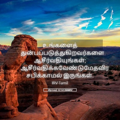 Picture 05 - ரோமர் 12:14 TAMIRV - உங்களைத் - Bible Verse Picture