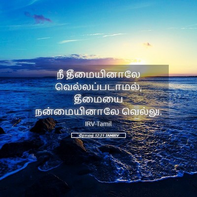 Picture 05 - ரோமர் 12:21 TAMIRV - நீ தீமையினாலே - Bible Verse Picture