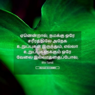 Picture 05 - ரோமர் 12:4 TAMIRV - ஏனென்றால், நமக்கு - Bible Verse Picture