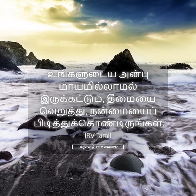 Picture 05 - ரோமர் 12:9 TAMIRV - உங்களுடைய அன்பு - Bible Verse Picture