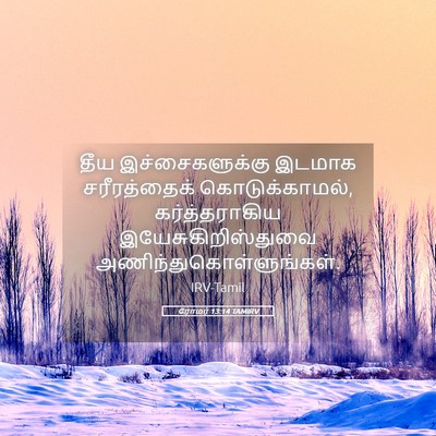 Picture 05 - ரோமர் 13:14 TAMIRV - தீய இச்சைகளுக்கு - Bible Verse Picture