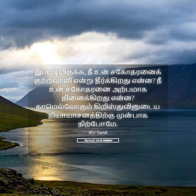 Picture 05 - ரோமர் 14:10 TAMIRV - இப்படியிருக்க, நீ - Bible Verse Picture