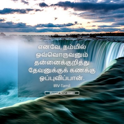 Picture 05 - ரோமர் 14:12 TAMIRV - எனவே, நம்மில் - Bible Verse Picture