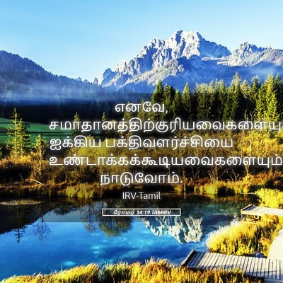 Picture 05 - ரோமர் 14:19 TAMIRV - எனவே, - Bible Verse Picture