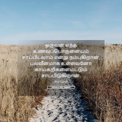 Picture 05 - ரோமர் 14:2 TAMIRV - ஒருவன் எந்த - Bible Verse Picture
