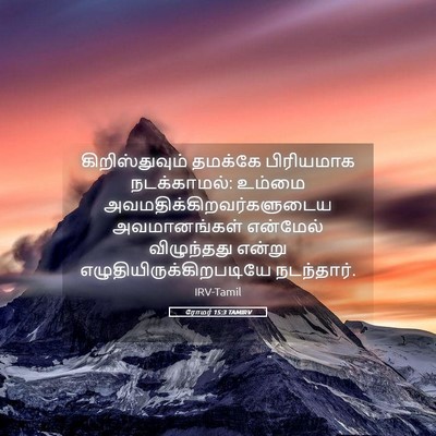 Picture 05 - ரோமர் 15:3 TAMIRV - கிறிஸ்துவும் - Bible Verse Picture