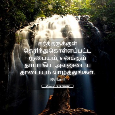 Picture 05 - ரோமர் 16:13 TAMIRV - கர்த்தருக்குள் - Bible Verse Picture