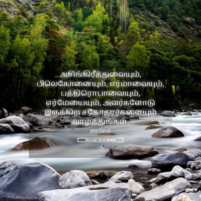 Picture 05 - ரோமர் 16:14 TAMIRV -  - Bible Verse Picture