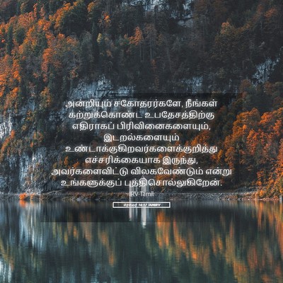 Picture 05 - ரோமர் 16:17 TAMIRV - அன்றியும் - Bible Verse Picture