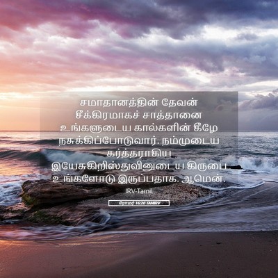 Picture 05 - ரோமர் 16:20 TAMIRV - சமாதானத்தின் - Bible Verse Picture