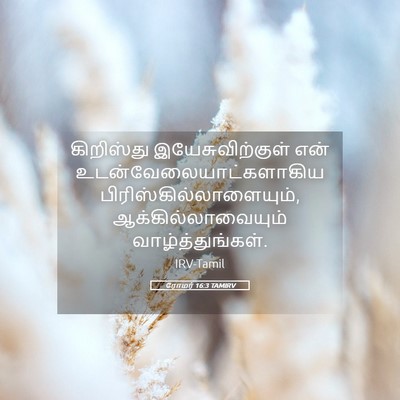 Picture 05 - ரோமர் 16:3 TAMIRV - கிறிஸ்து - Bible Verse Picture