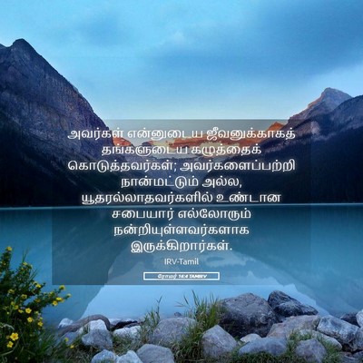Picture 05 - ரோமர் 16:4 TAMIRV - அவர்கள் என்னுடைய - Bible Verse Picture