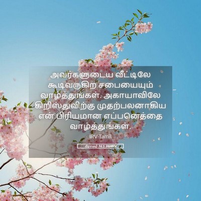 Picture 05 - ரோமர் 16:5 TAMIRV - அவர்களுடைய - Bible Verse Picture