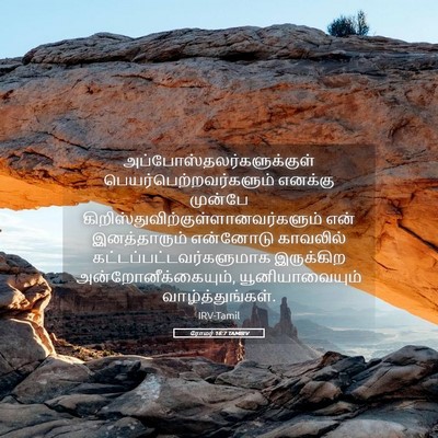 Picture 05 - ரோமர் 16:7 TAMIRV -  - Bible Verse Picture