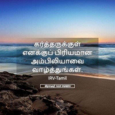 Picture 05 - ரோமர் 16:8 TAMIRV - கர்த்தருக்குள் - Bible Verse Picture