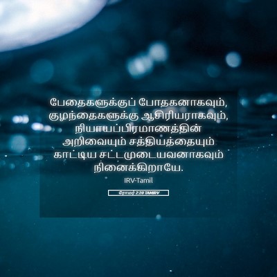Picture 05 - ரோமர் 2:20 TAMIRV - பேதைகளுக்குப் - Bible Verse Picture