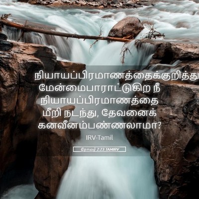 Picture 05 - ரோமர் 2:23 TAMIRV -  - Bible Verse Picture