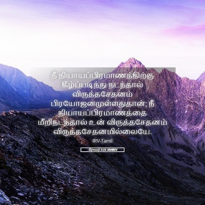 Picture 05 - ரோமர் 2:25 TAMIRV - நீ - Bible Verse Picture
