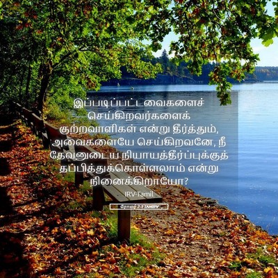 Picture 05 - ரோமர் 2:3 TAMIRV -  - Bible Verse Picture