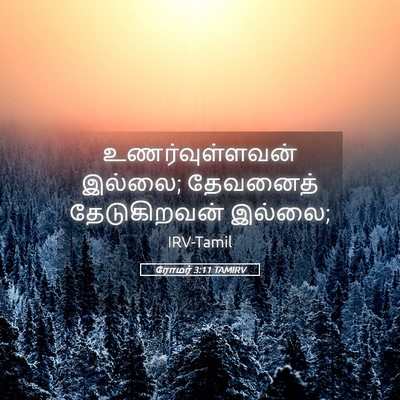 Picture 05 - ரோமர் 3:11 TAMIRV - உணர்வுள்ளவன் - Bible Verse Picture