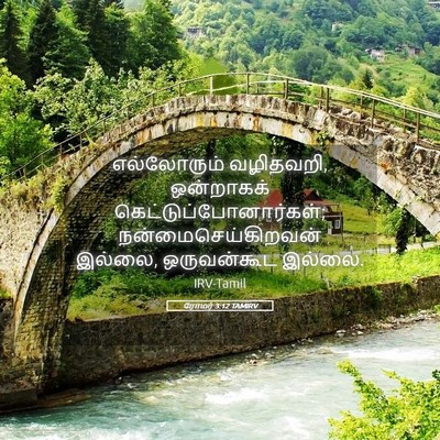 Picture 05 - ரோமர் 3:12 TAMIRV - எல்லோரும் - Bible Verse Picture