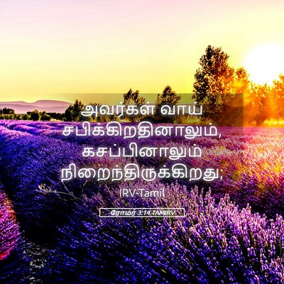 Picture 05 - ரோமர் 3:14 TAMIRV - அவர்கள் வாய் - Bible Verse Picture