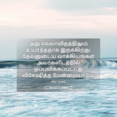 Picture 05 - ரோமர் 3:2 TAMIRV - அது - Bible Verse Picture