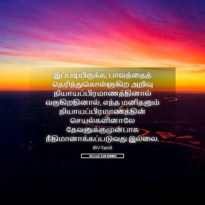 Picture 05 - ரோமர் 3:20 TAMIRV - இப்படியிருக்க, - Bible Verse Picture