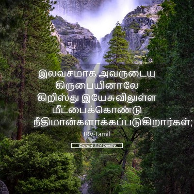Picture 05 - ரோமர் 3:24 TAMIRV - இலவசமாக அவருடைய - Bible Verse Picture
