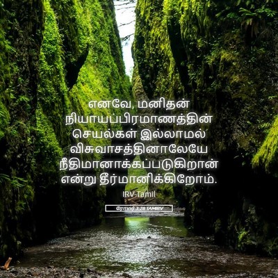Picture 05 - ரோமர் 3:28 TAMIRV - எனவே, மனிதன் - Bible Verse Picture