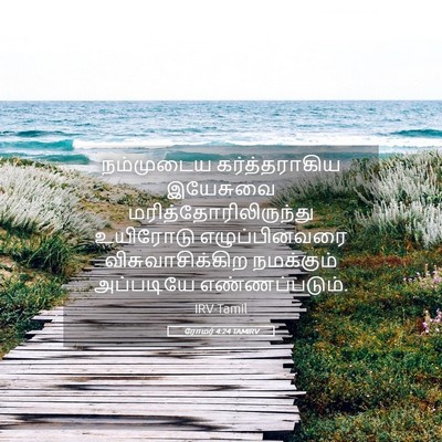 Picture 05 - ரோமர் 4:24 TAMIRV - நம்முடைய - Bible Verse Picture