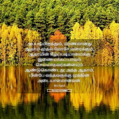 Picture 05 - ரோமர் 5:14 TAMIRV - அப்படியிருந்தும், - Bible Verse Picture