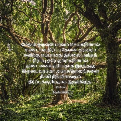 Picture 05 - ரோமர் 5:16 TAMIRV - மேலும் ஒருவன் - Bible Verse Picture