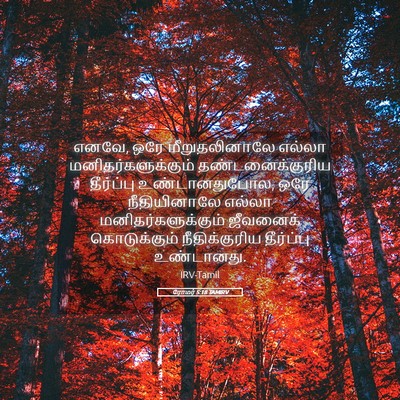 Picture 05 - ரோமர் 5:18 TAMIRV - எனவே, ஒரே - Bible Verse Picture