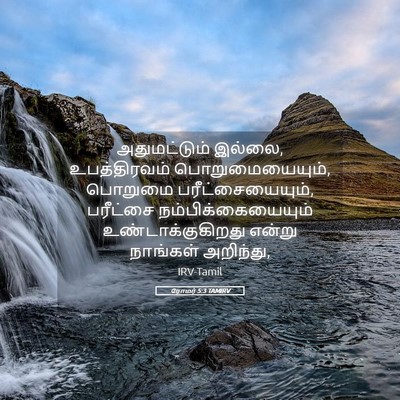 Picture 05 - ரோமர் 5:3 TAMIRV - அதுமட்டும் இல்லை, - Bible Verse Picture