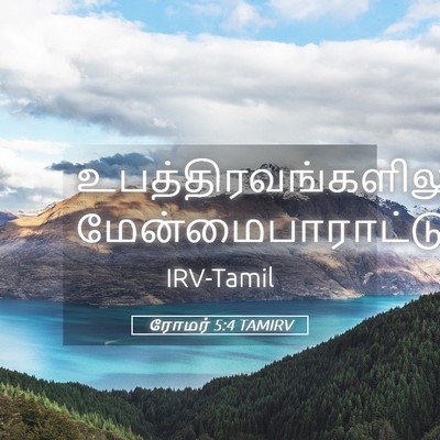 Picture 05 - ரோமர் 5:4 TAMIRV -  - Bible Verse Picture