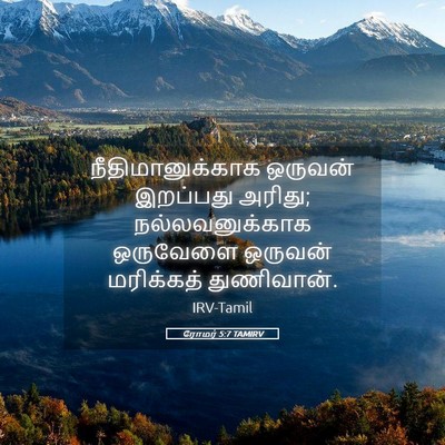 Picture 05 - ரோமர் 5:7 TAMIRV - நீதிமானுக்காக - Bible Verse Picture