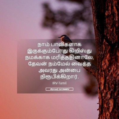 Picture 05 - ரோமர் 5:8 TAMIRV - நாம் பாவிகளாக - Bible Verse Picture