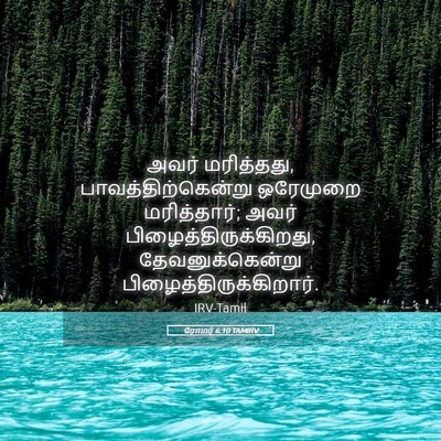 Picture 05 - ரோமர் 6:10 TAMIRV - அவர் மரித்தது, - Bible Verse Picture